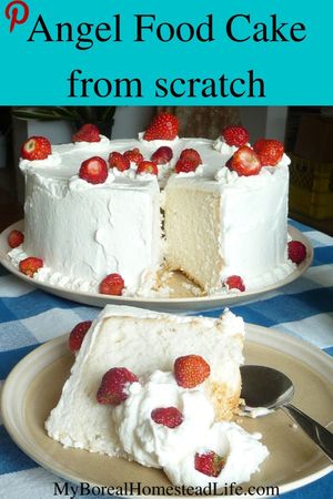 Baking from Scratch Angel food cake