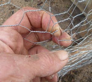 Wrapping the tab on the chicken wire for the pastured poultry chicken tractor