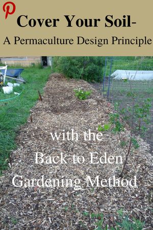 Permaculture design principle and Back to Eden gardening