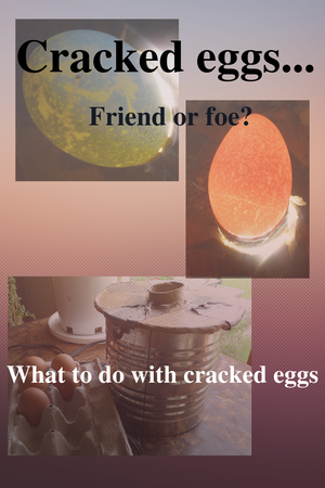 photo of cracked eggs and words