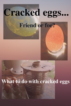 What to do with cracked eggs