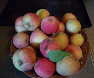 Crabapple juice - Freezing apples