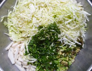 Fermenting cabbage and other vegetables - combined vegetables