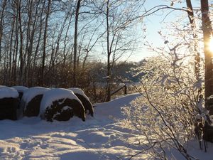 Stocking up, planning and homestead happenings - magical morning hoar frost