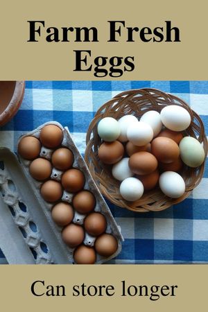 Photo of farm fresh eggs on blue checkered table cover