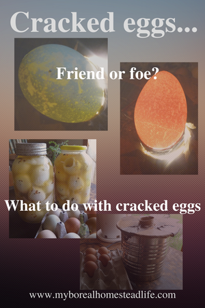 Photo of cracked eggs and pickled eggs