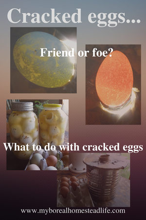 What to do with cracked eggs