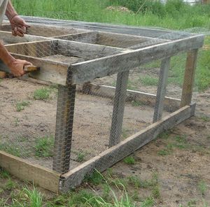 Tightening the wire on the pasture poultry chicken tractor