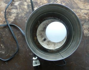 Photo of egg candler with light bulb and metal can