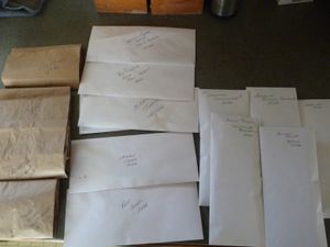 Stocking up, planning and homestead happenings -  seed saving