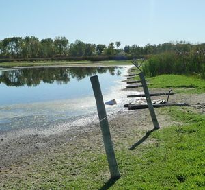 Photo of fence line beside essential water in dugout