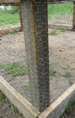 Make the corners neater on the pastured poultry chicken tractor