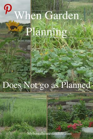 In the Garden - garden planning Pinterest link