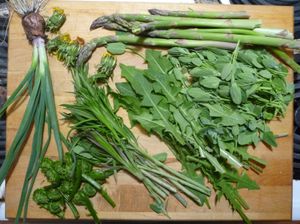 Photo of edible wild greens for supper