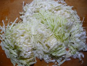 Fermenting cabbage and other vegetables - chopped cabbage