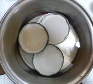 Canning water - sterilize one piece lids