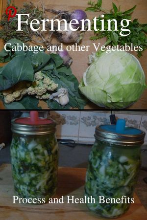 Fermenting cabbage and other vegetables - Pinterest link