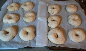 Adventures with sourdough - shaped sourdough bread bagel dough