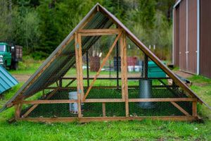 Idaho A-frame chicken tractor - photo from Homesteading family