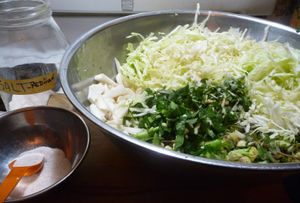 Fermenting cabbage and other vegetables - adding salt