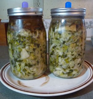 Fermenting cabbage and other vegetables - one week old ferment