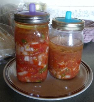 Fermenting cabbage and other vegetables with fermented tomato salsa