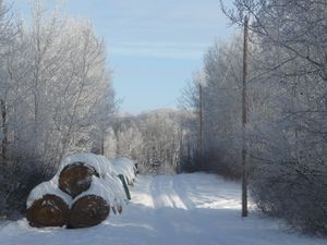 Stocking up, planning and homestead happenings - hoar frost