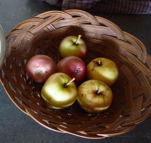 Converting an apple tree orchard - Heyer 12 apples