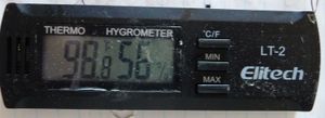 Incubating chicken eggs with hygrometer to tell humidity.