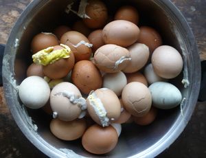 photo of cracked eggs in a pot