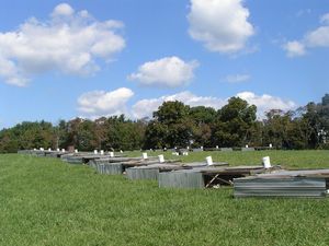 Pastured poultry - Joel Salatin design from Polyface farms website