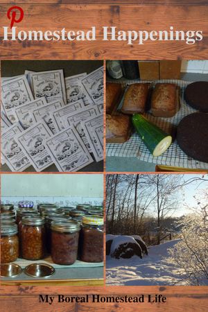 Stocking up, planning and homestead happenings - Pinterest link