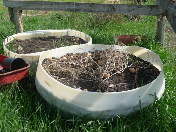 Photo of water tank filled with soil