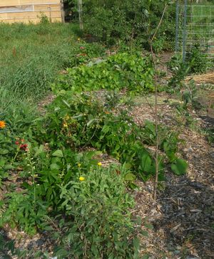 Converting an apple tree orchard - stacking funtions