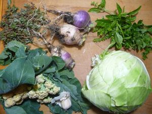 Fermenting cabbage and other vegetables - garden vegetables