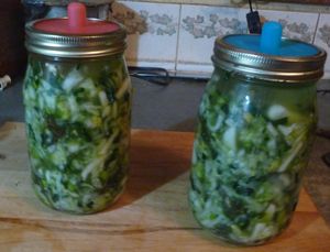Fermenting cabbage and other vegetables - pickle pipe attachment