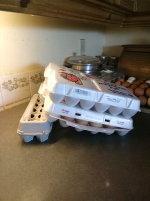 Photo of egg cartons containing eggs being tipped