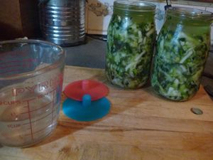 Fermenting cabbage and other vegetables - adding pickle pebble