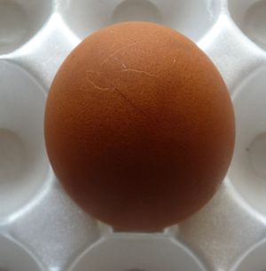 Photo of cracked egg on styrofoam carton