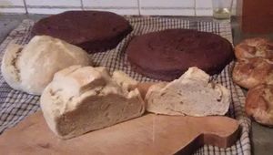 Adventures with sourdough - sourdough bread, sourdough bread gluten free and gluten free sourdough chocolate cake