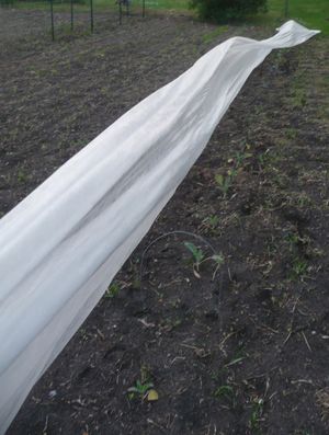 DIY floating row cover tunnel - wind and the floating row cover