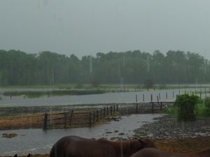 My why to homestead living has cons to homestead living