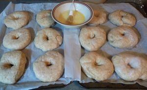 Adventures with sourdough - brushing sourdough wholewheat bagels with egg