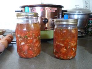 Canning tomatoes - fermented tomato salsa