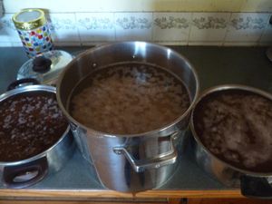 Stocking up, planning and homestead happenings - soaking beans