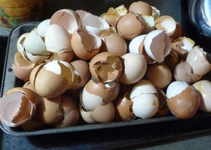 Saving the egg shells for drying and applying to garden