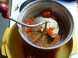 Canning tomatoes - processing tomatoes for sauce