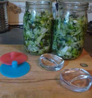 Fermenting cabbage and other vegetables - packing jars