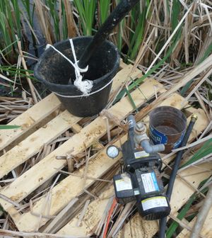 Photo of water pump with hose inside pail on pallet for pumping rainwater