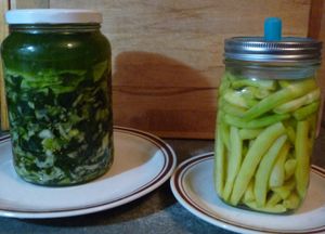 Fermenting cabbage and other vegetables - fermented dilled beans 